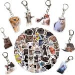8 Pcs Funny Cat Meme Keychain with Matching 100 Pcs Stickers, Cute Kitty Keychains Set Kawaii Charm Keyring, Mood Boost Gifts for Women Men Novelty Acrylic Key Chains